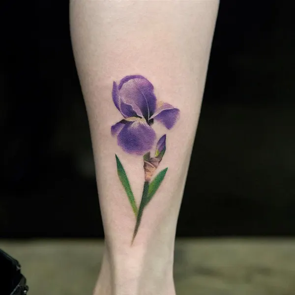 Flower, 난초, 아이리스