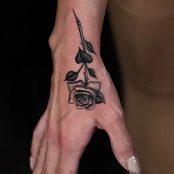 Flower, Rose