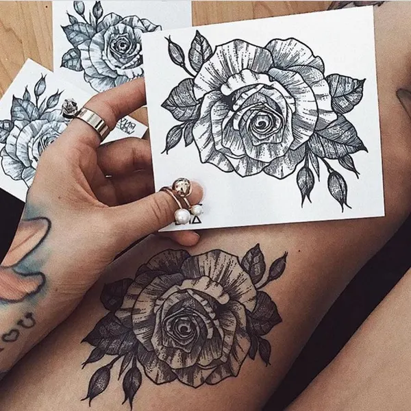 Flower, Rose