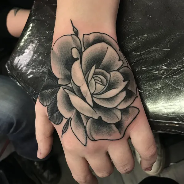 Flower, Rose