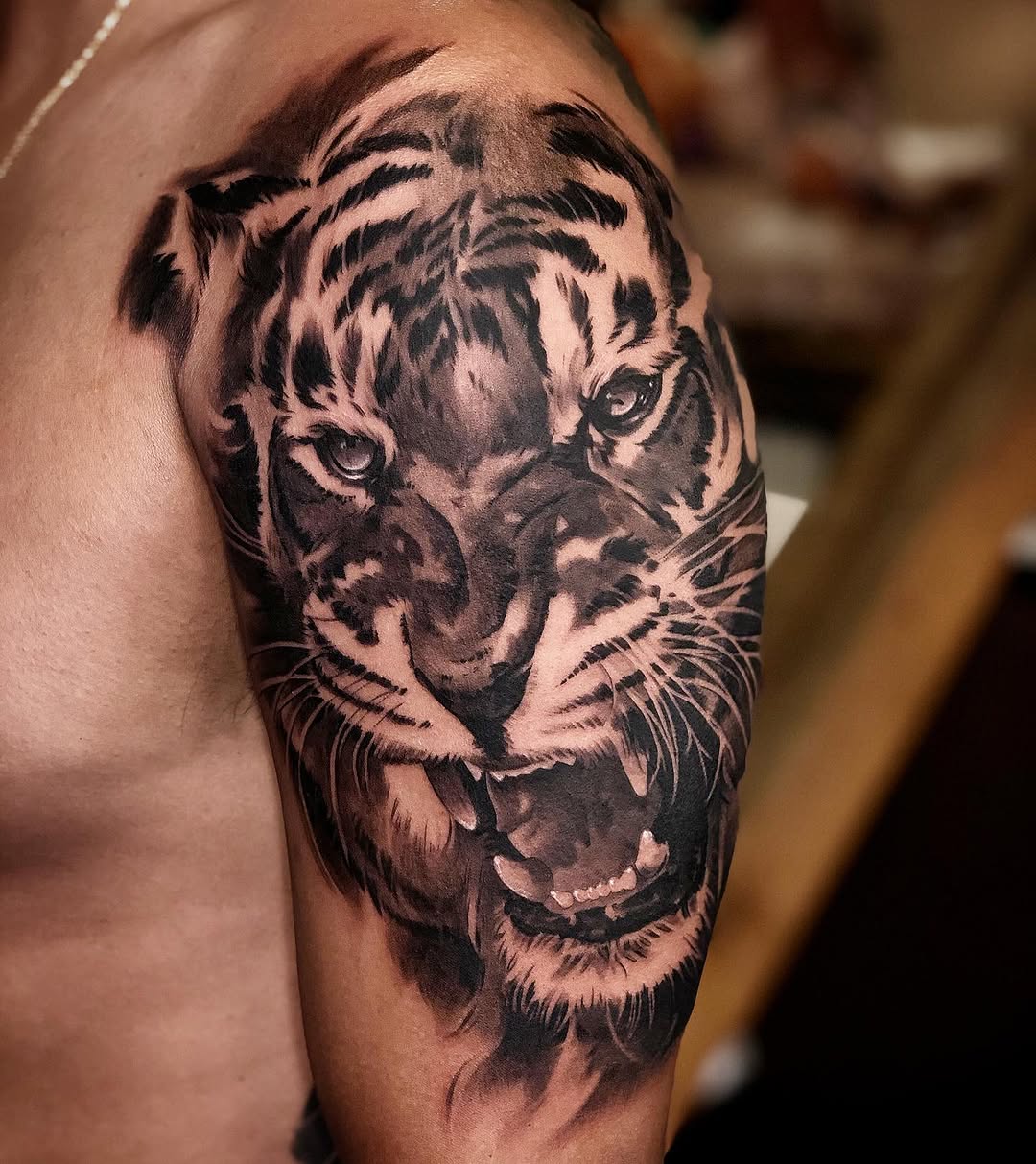 Tiger, 한국 호랑이, 중국 호랑이
