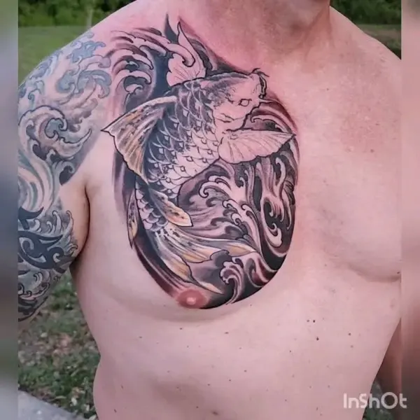 수탉