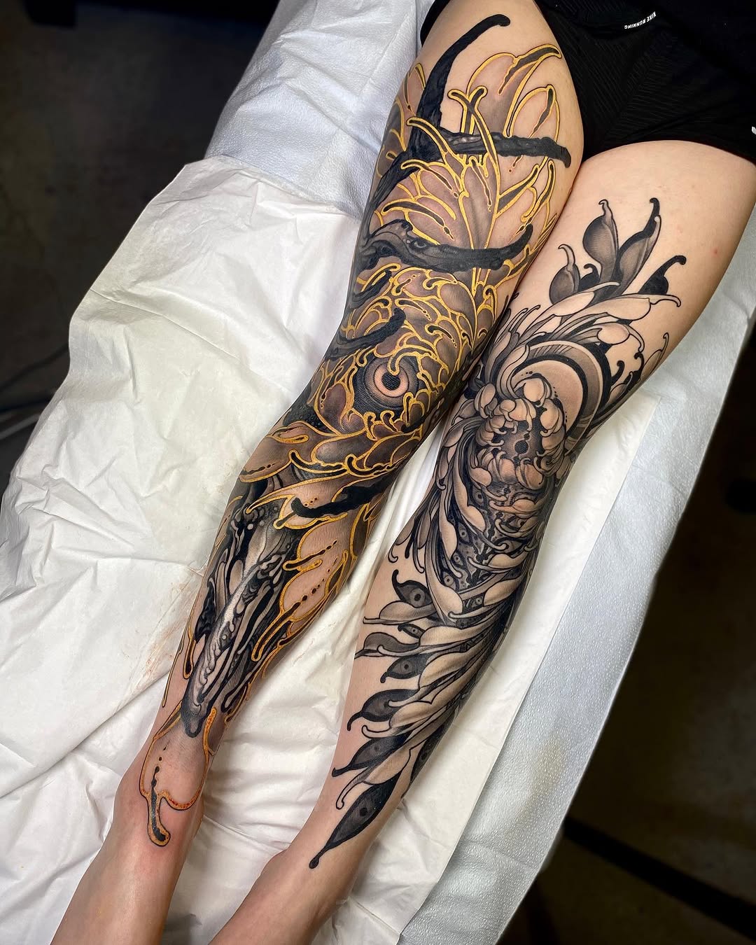 Dragon, Animal
