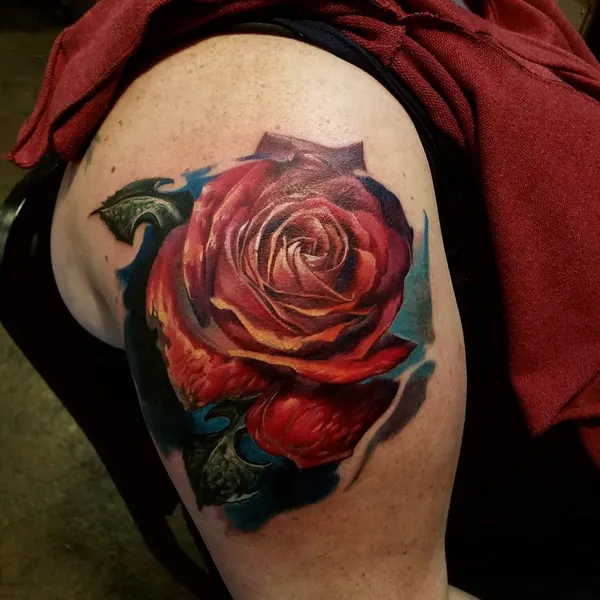 Flower, Nature, Rose
