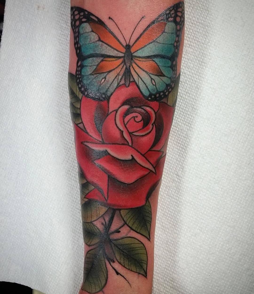 Animal, Nature, Flower