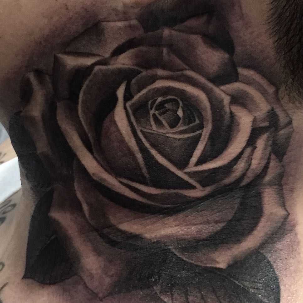 Flower, Rose, Nature