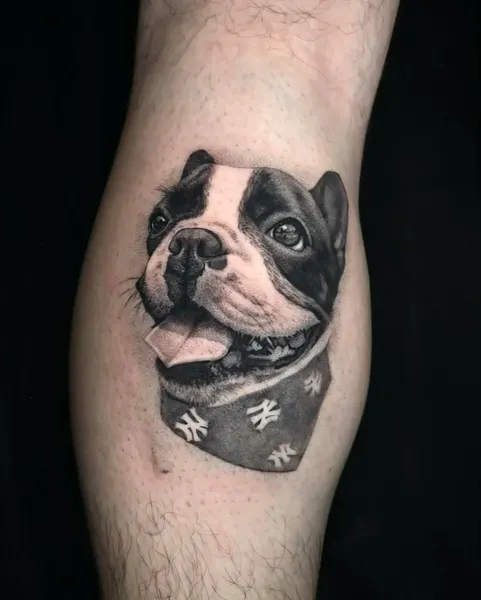 Animal