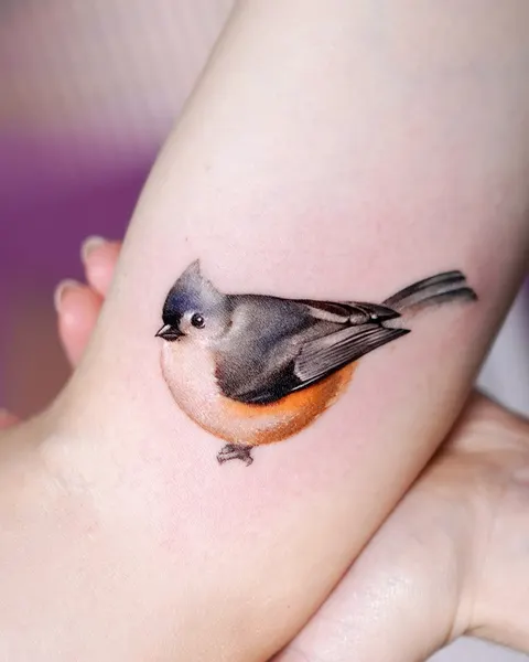 Animal