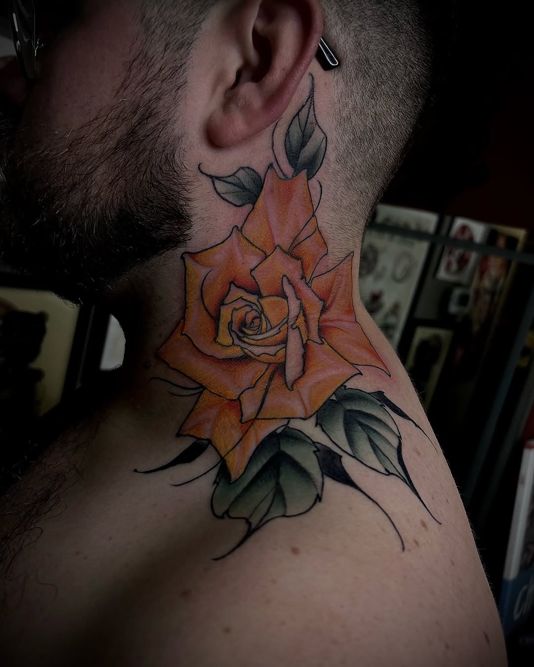 Flower, Rose, Nature