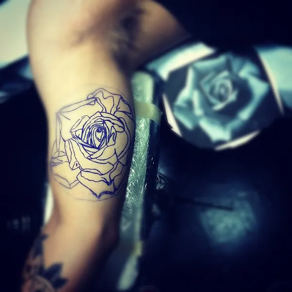 Flower, Rose
