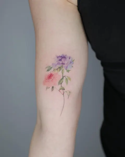 Flower, Rose, 모란