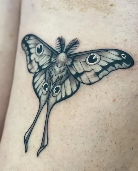 Animal, Nature