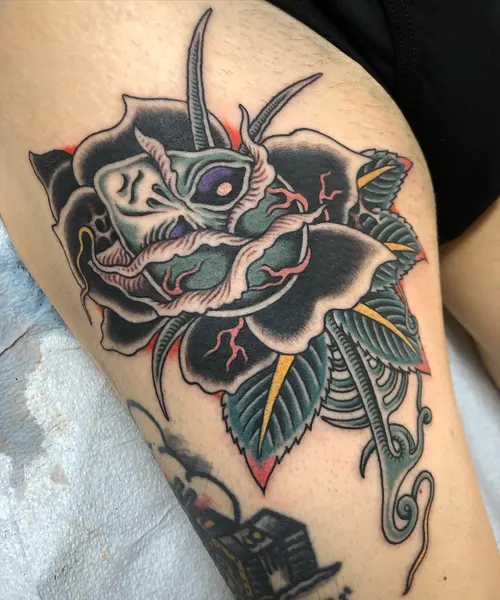 Flower, Rose