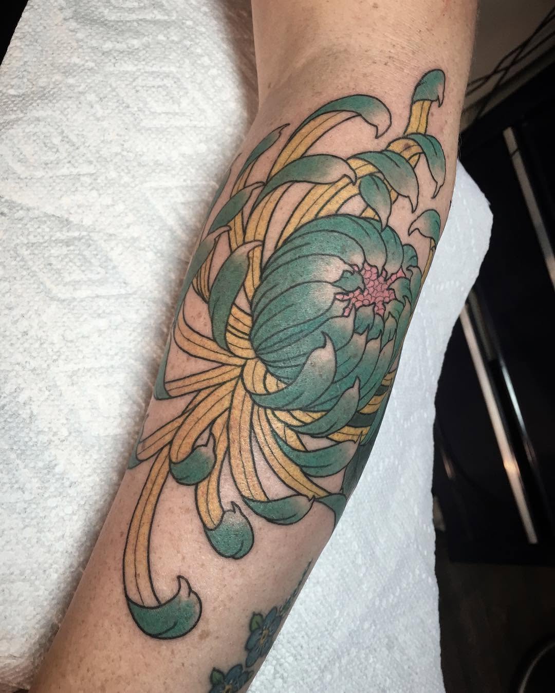 Rose, Flower