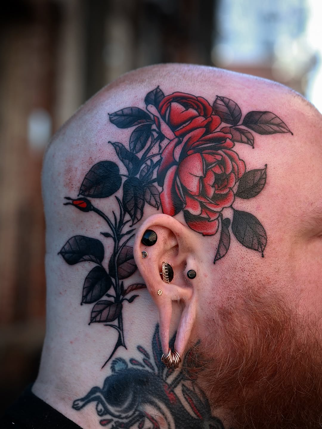 Rose, Flower