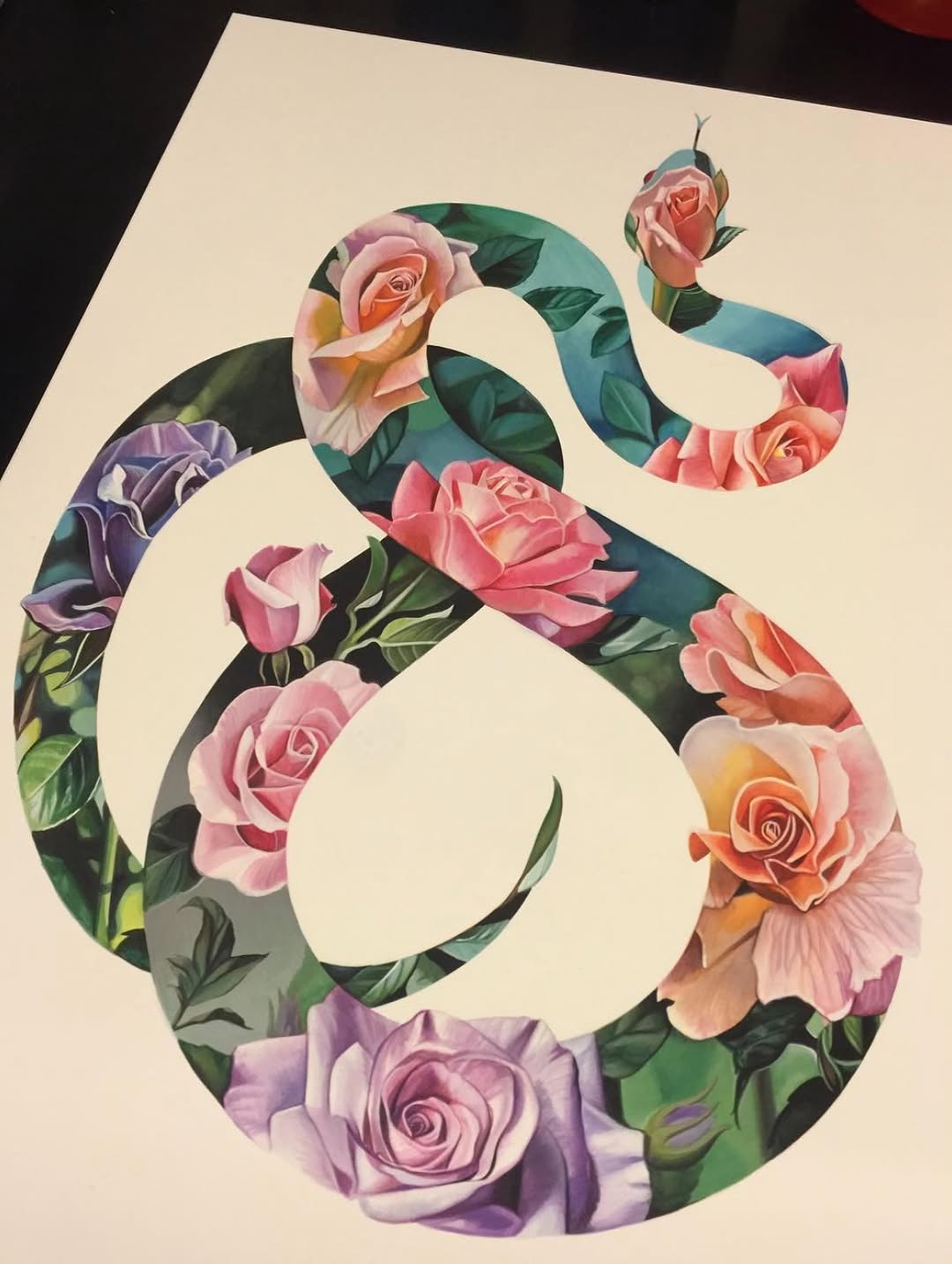 Flower, Rose