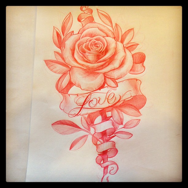 Flower, Rose