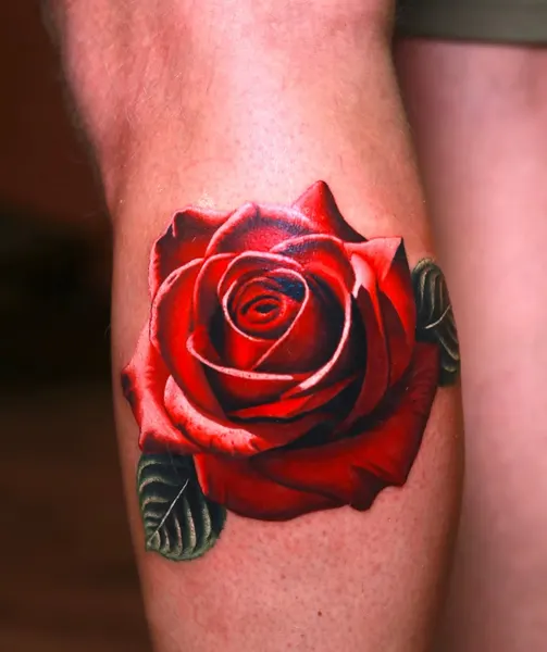 Flower, Rose