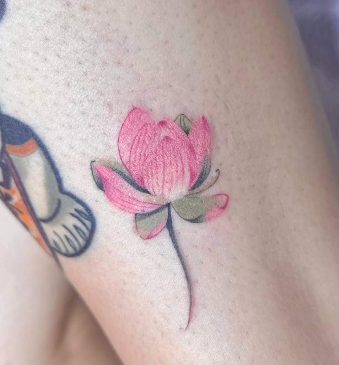 Flower, 모란, 백합, 벚꽃, 튤립