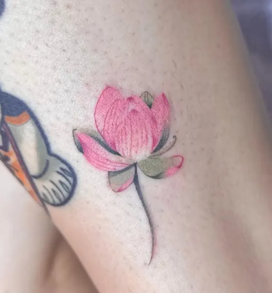 Flower, 모란, 백합, 벚꽃, 튤립