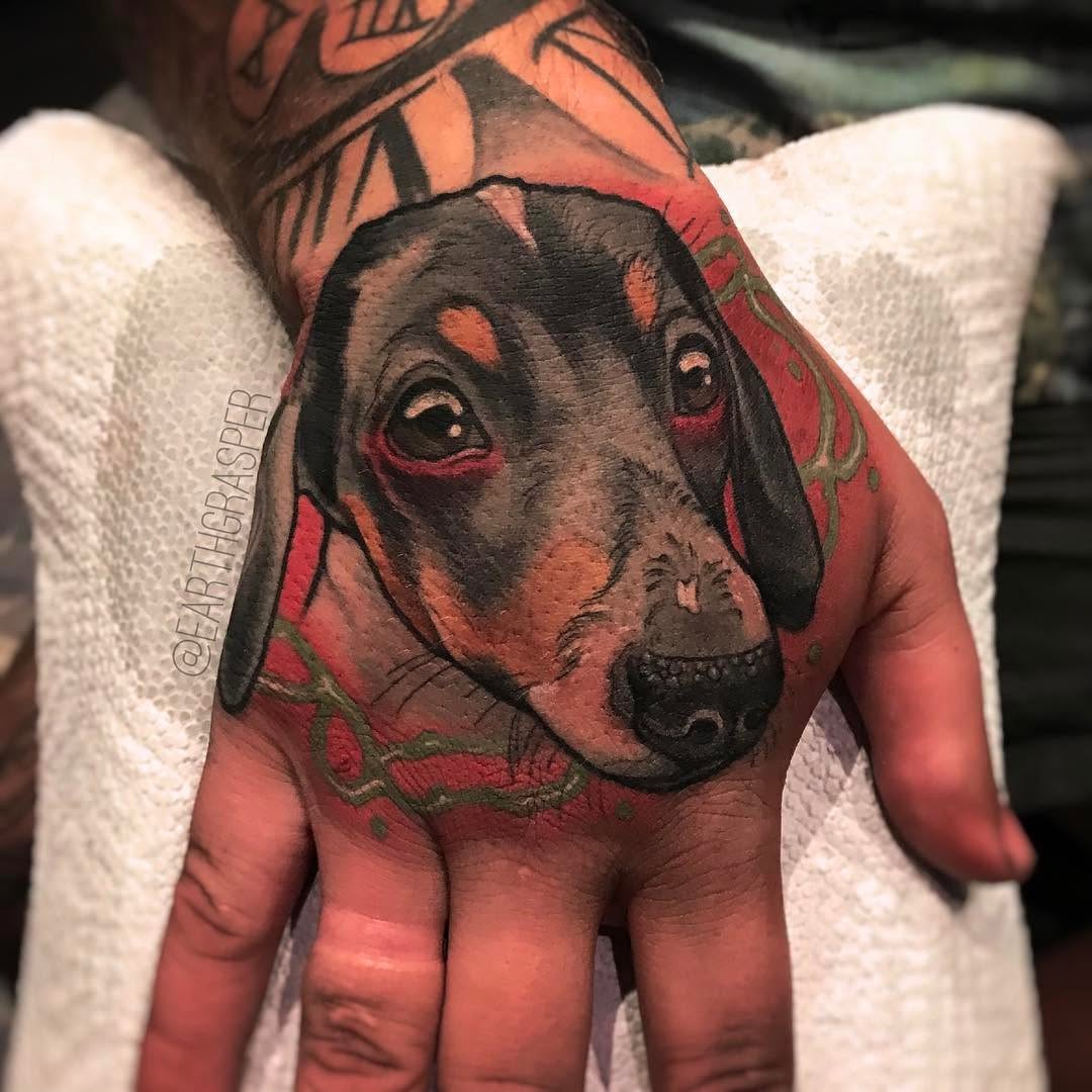 Animal