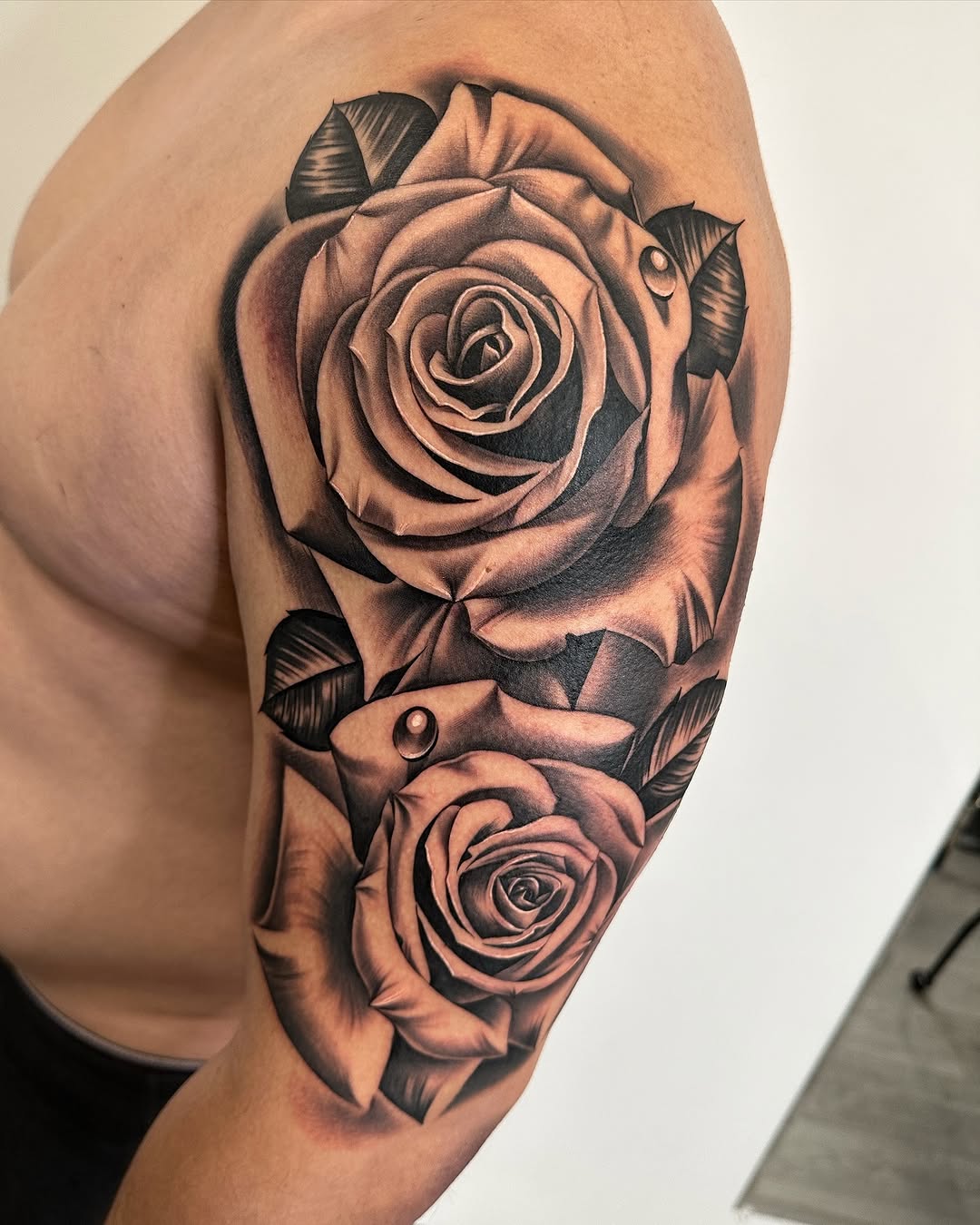 Flower, Rose, Nature
