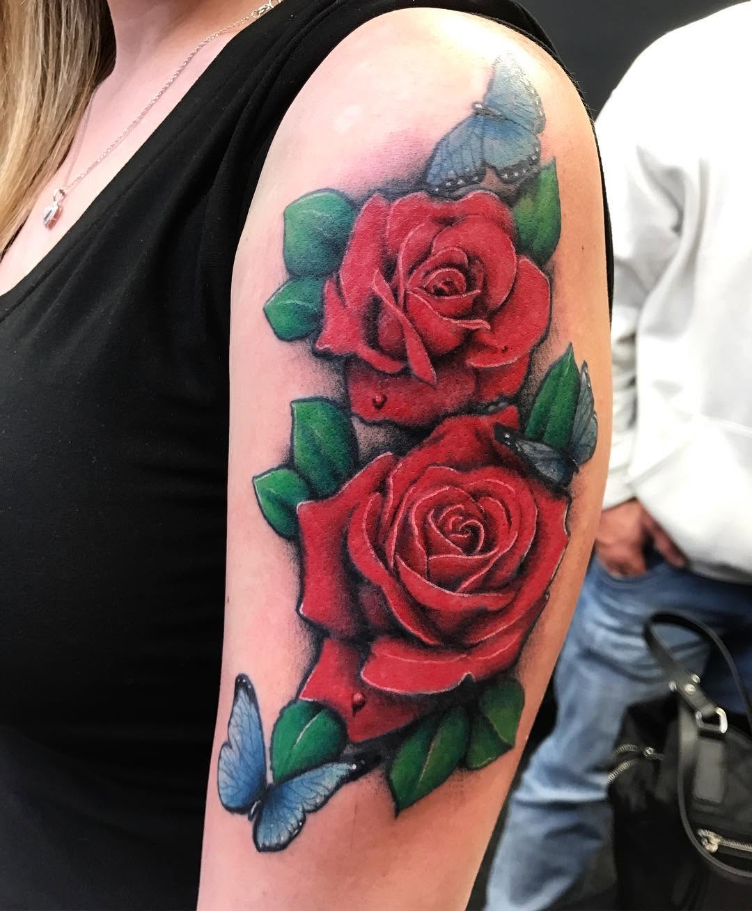 Flower, Rose, Nature