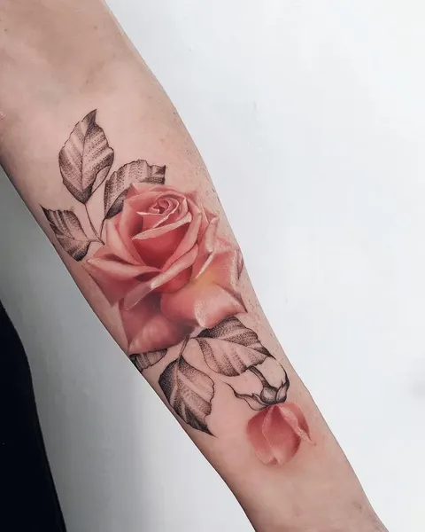 Flower, Rose