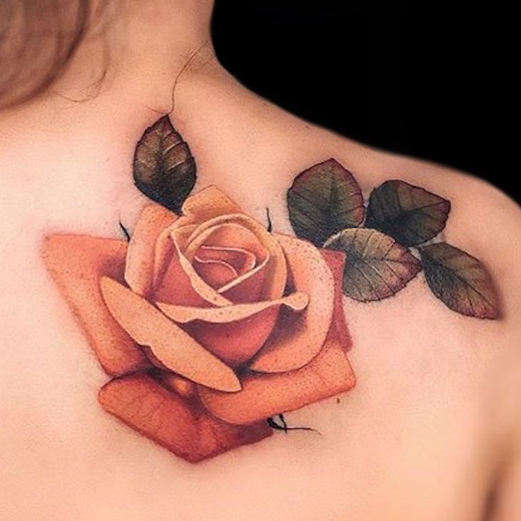 Flower, Rose, Nature