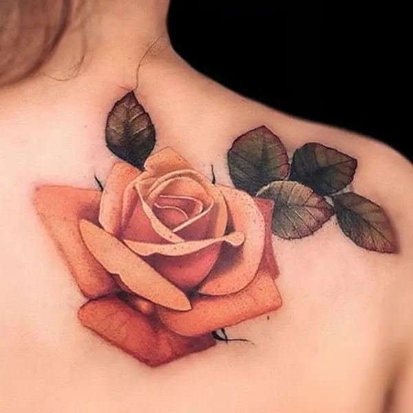 Flower, Rose, Nature