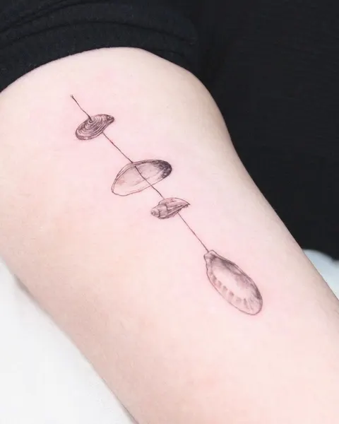 Mini, 조개, 오징어, 조개껍데기