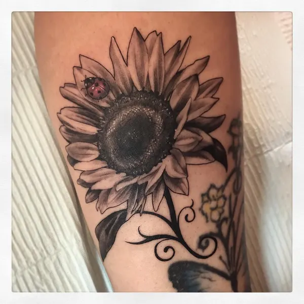 Flower, 해바라기