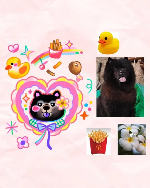 Animal