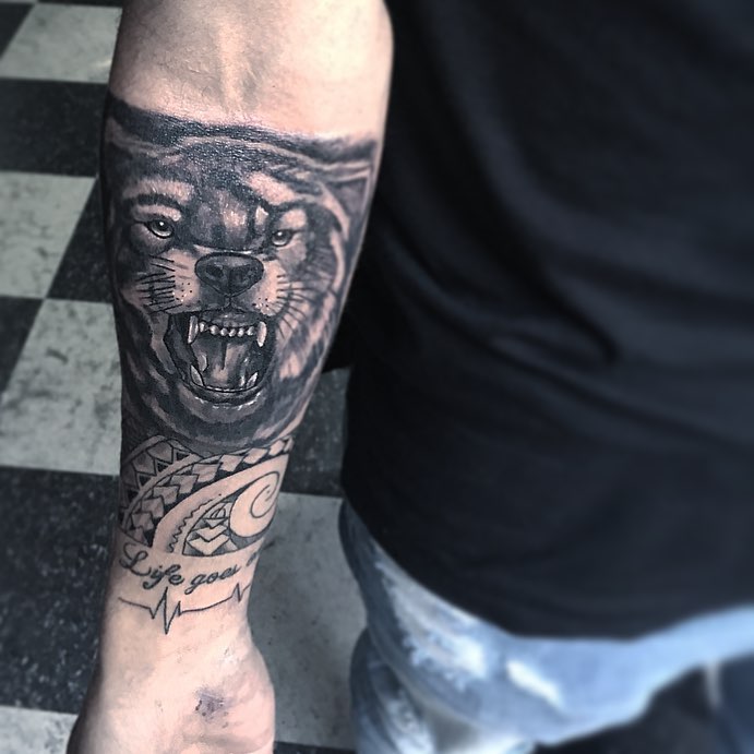 Tiger, Animal
