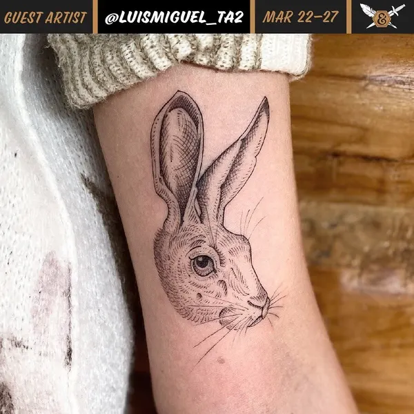 Animal