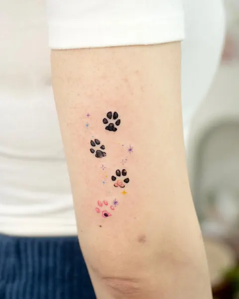 Animal, 발자국
