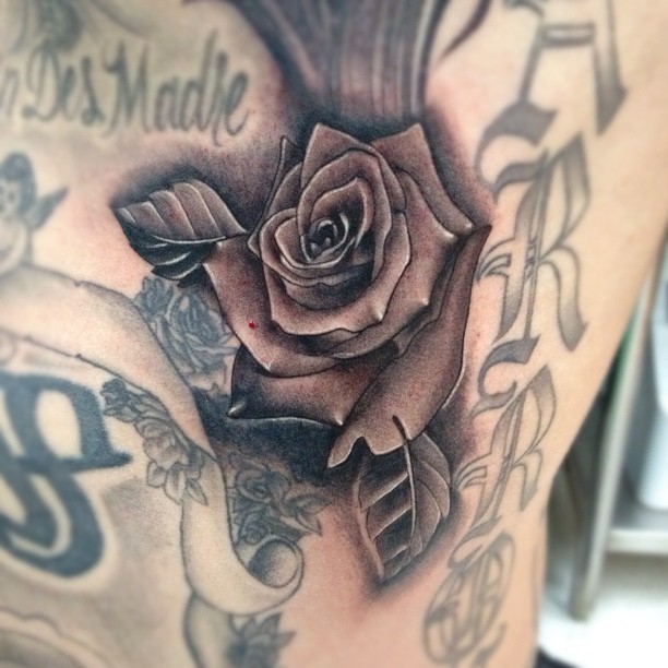 Flower, Rose