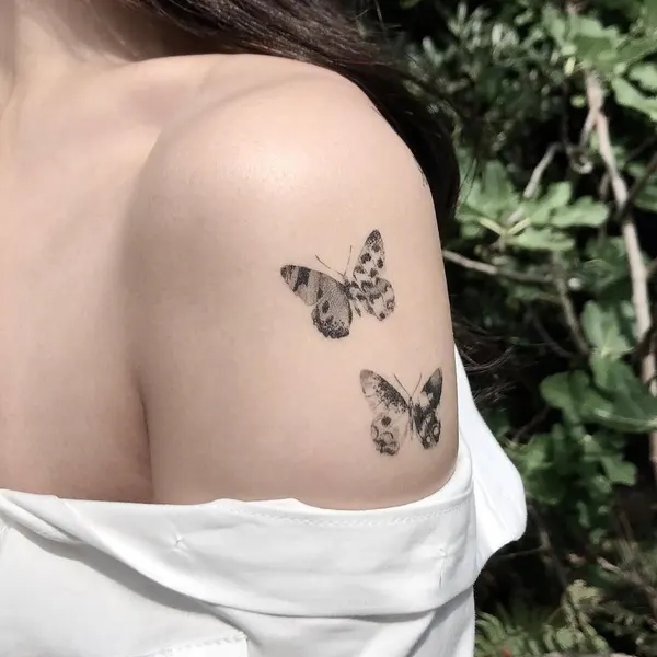 Animal, Nature, 동백꽃