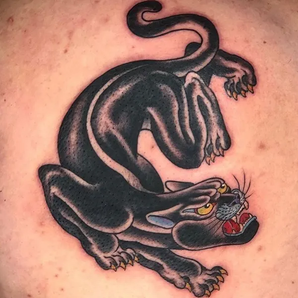 Dragon, 팬서