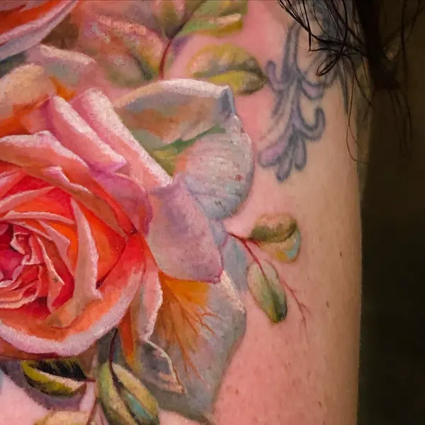 Flower, Rose, Nature
