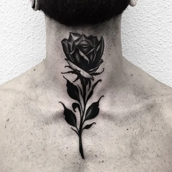 Flower, Rose, Nature