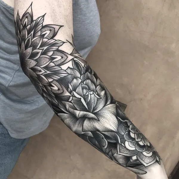Flower, Rose