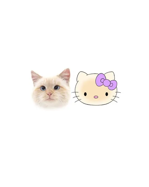 Mini, 마네키네코