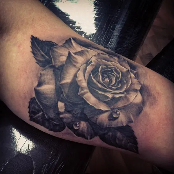 Flower, Rose