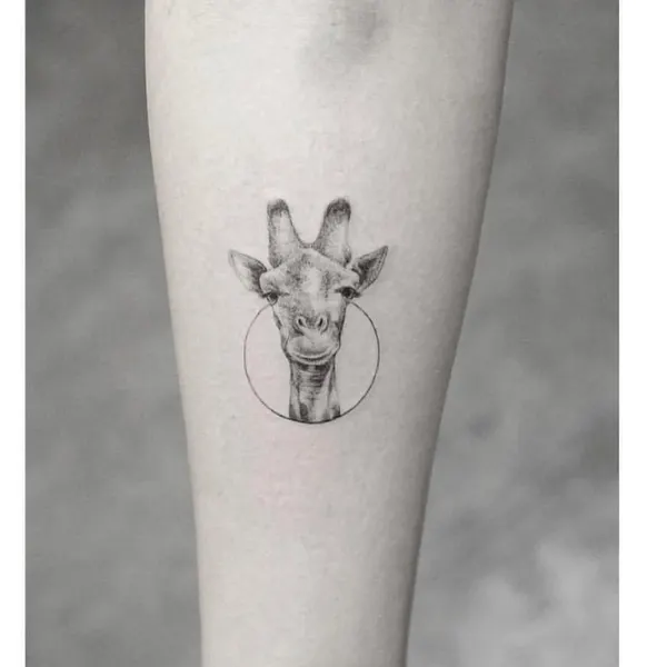 사슴, Animal, 염소