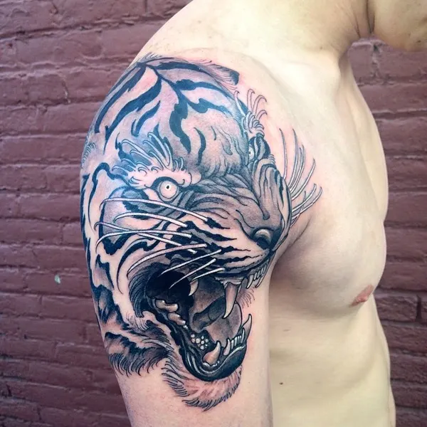 Tiger, 재규어, 중국 호랑이, 한국 호랑이, 팬서