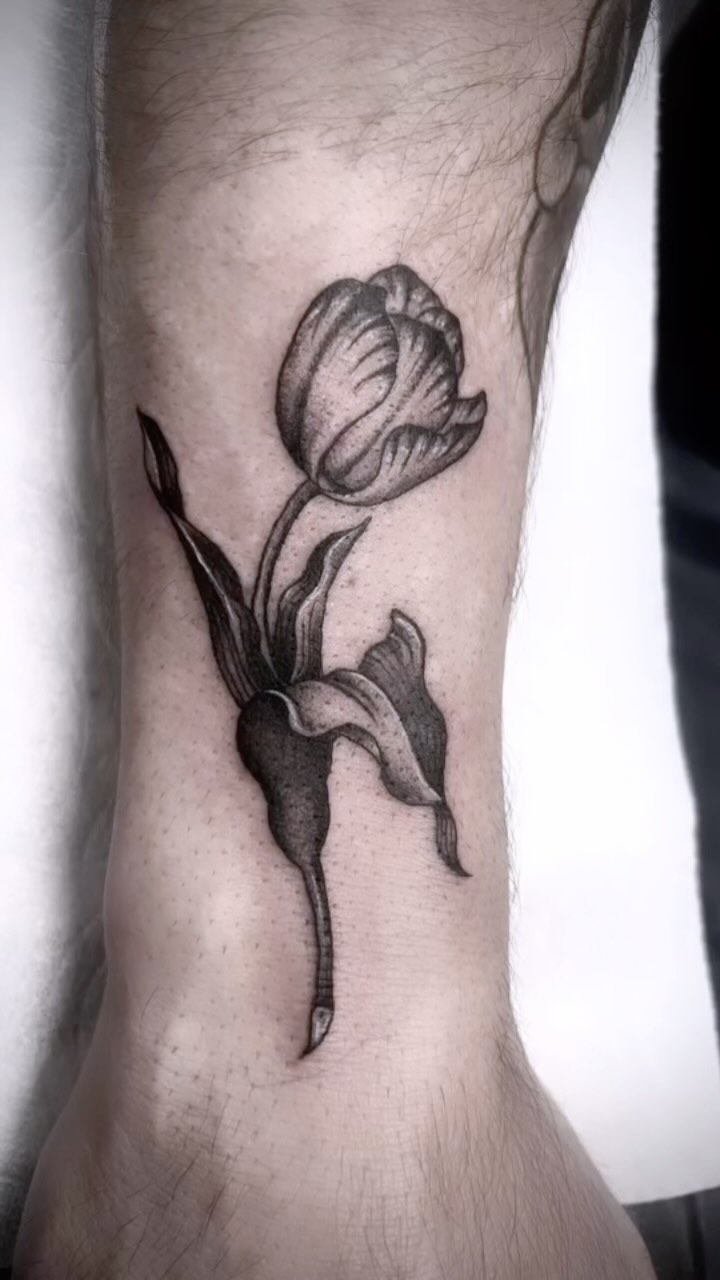Flower, 모란, 백합, 튤립, 수선화, 아이리스