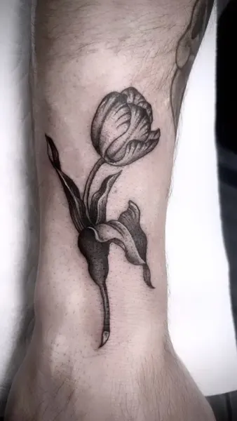 Flower, 모란, 백합, 튤립, 수선화, 아이리스