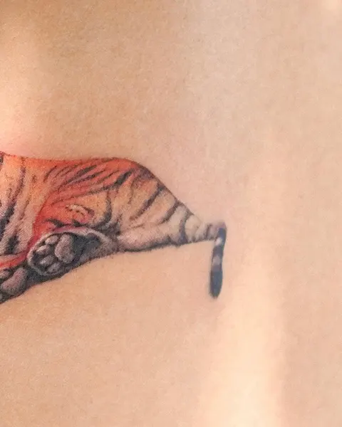 Tiger, 중국 호랑이
