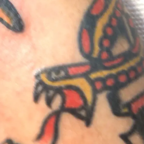 Dragon, Snake
